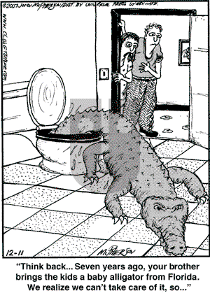 Close to Home on Tuesday December 11, 2007 Comic Strip
