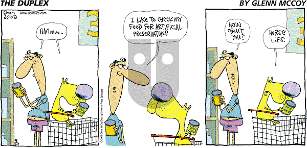 The Duplex on Sunday September 14, 2003 Comic Strip