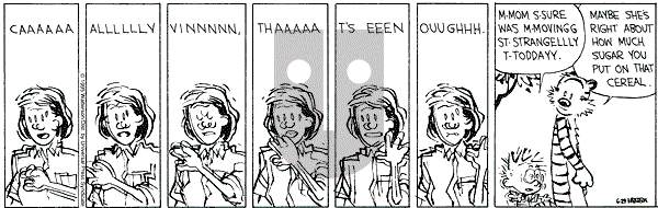 Calvin and Hobbes - Thursday June 29, 1995 Comic Strip