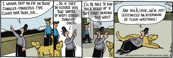 Overboard on Tuesday April 21, 2015 Comic Strip