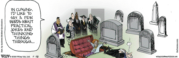 Non Sequitur on Wednesday May 28, 2025 Comic Strip