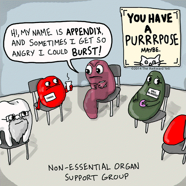 The Awkward Yeti on Friday September 26, 2014 Comic Strip