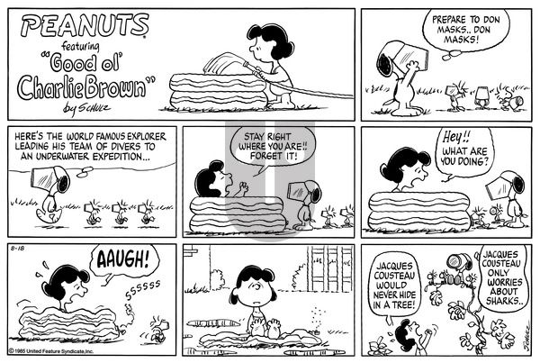Peanuts on Sunday August 18, 1985 Comic Strip