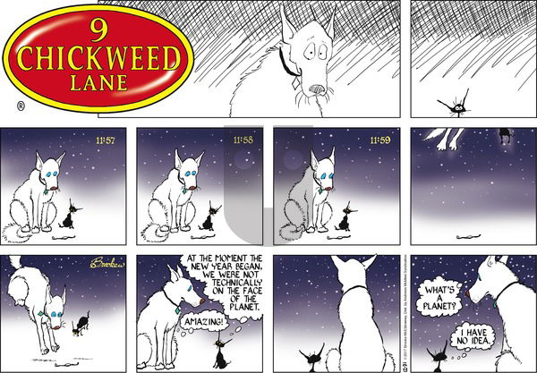 9 Chickweed Lane on Sunday December 31, 2017 Comic Strip