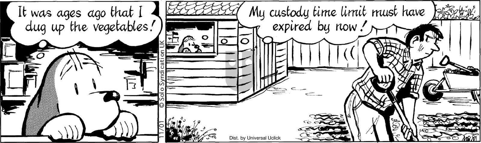 Fred Basset on Saturday November 1, 2014 Comic Strip