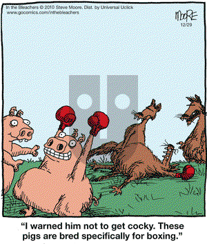 In the Bleachers on Monday December 29, 2014 Comic Strip