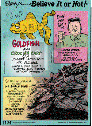 Ripley's Believe It or Not on Friday November 24, 2017 Comic Strip