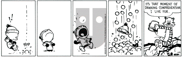 Calvin and Hobbes on Saturday January 23, 1993 Comic Strip
