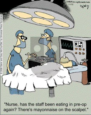 The Flying McCoys on Monday November 10, 2008 Comic Strip