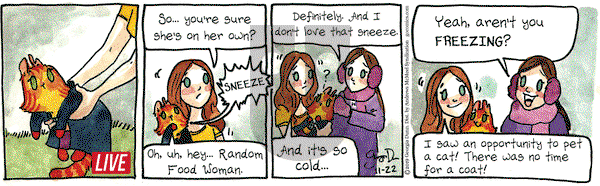 Breaking Cat News on Friday November 22, 2019 Comic Strip