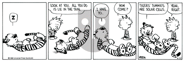 Calvin and Hobbes on Thursday June 30, 1988 Comic Strip