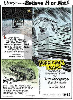 Ripley's Believe It or Not on Saturday October 18, 2014 Comic Strip