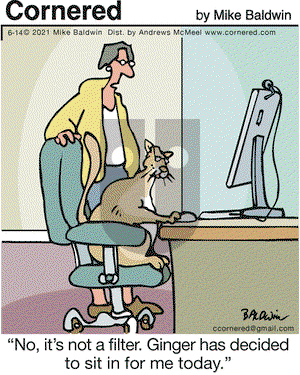 Cornered on Monday June 14, 2021 Comic Strip