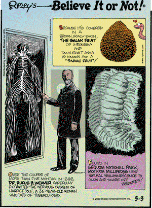 Ripley's Believe It or Not on Tuesday March 3, 2020 Comic Strip