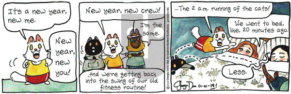 Breaking Cat News on Tuesday January 1, 2019 Comic Strip