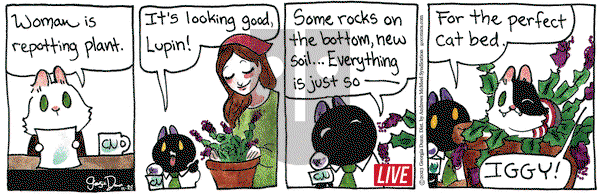 Breaking Cat News - Tuesday November 28, 2023 Comic Strip