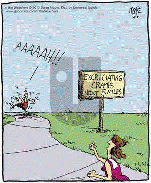 In the Bleachers on Tuesday June 25, 2013 Comic Strip