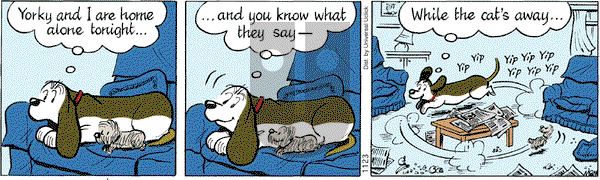 Fred Basset on Friday November 23, 2012 Comic Strip