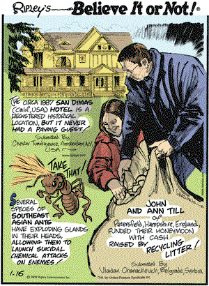 Ripley's Believe It or Not on Friday January 16, 2009 Comic Strip