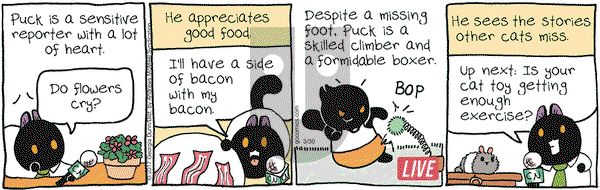Breaking Cat News on Thursday March 30, 2017 Comic Strip