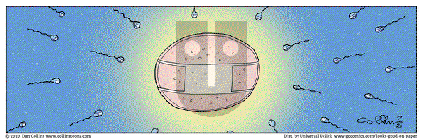 Looks Good on Paper - Thursday July 21, 2022 Comic Strip