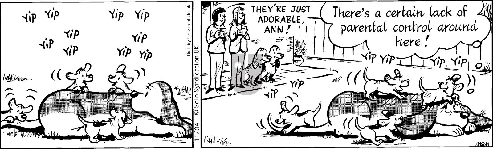 Fred Basset on Tuesday November 4, 2014 Comic Strip