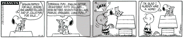 Peanuts on Friday December 12, 1969 Comic Strip