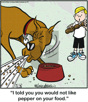 Marmaduke on Tuesday November 3, 2020 Comic Strip