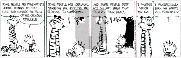 Calvin and Hobbes on Friday August 11, 1995 Comic Strip