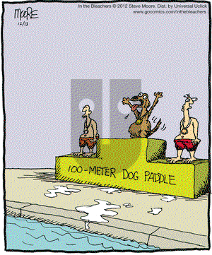In the Bleachers on Thursday December 13, 2012 Comic Strip