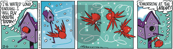Rose is Rose on Tuesday December 6, 2011 Comic Strip