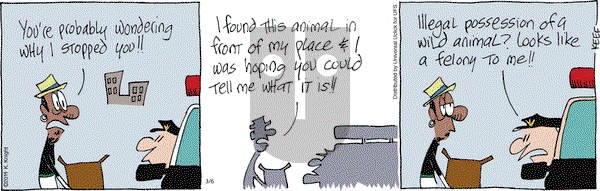 The Knight Life on Thursday March 6, 2014 Comic Strip