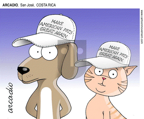ViewsLatinAmerica - Wednesday September 18, 2024 Comic Strip