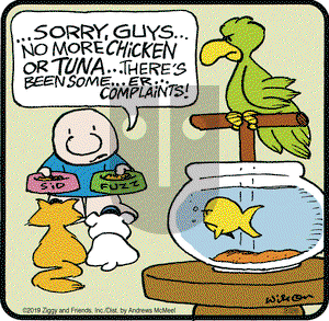 Ziggy on Tuesday February 26, 2019 Comic Strip