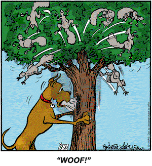 Marmaduke on Friday August 30, 2013 Comic Strip