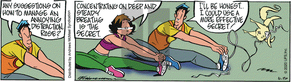 Rose is Rose on Monday June 15, 2020 Comic Strip