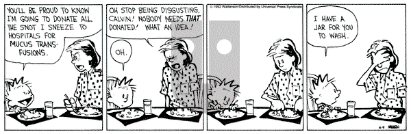 Calvin and Hobbes on Tuesday June 9, 1992 Comic Strip