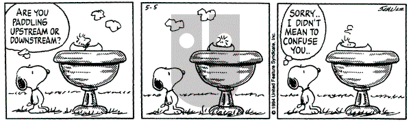 Peanuts on Thursday May 5, 1994 Comic Strip