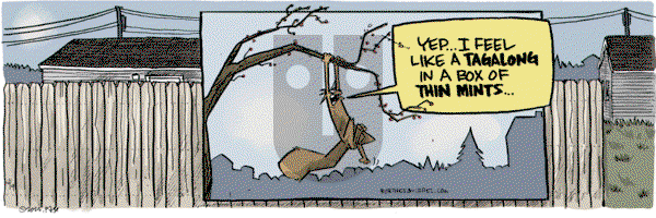 Bob the Squirrel on Wednesday April 9, 2025 Comic Strip