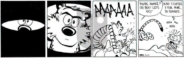 Calvin and Hobbes on Friday June 13, 2025 Comic Strip