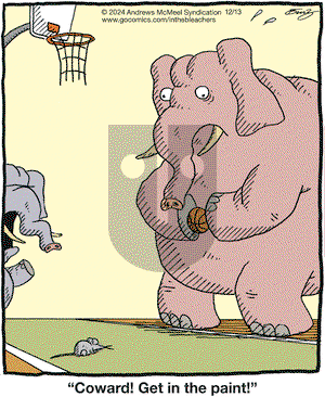 In the Bleachers - Friday December 13, 2024 Comic Strip