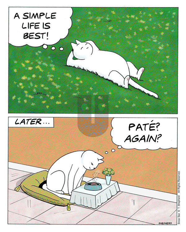 Snow Sez on Monday May 12, 2025 Comic Strip