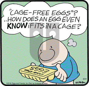 Ziggy on Saturday August 31, 2019 Comic Strip
