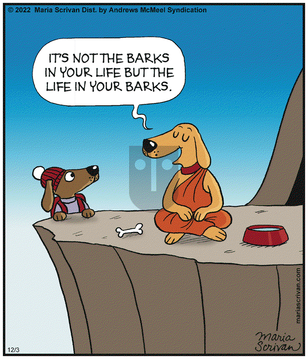 Half Full - Saturday December 3, 2022 Comic Strip