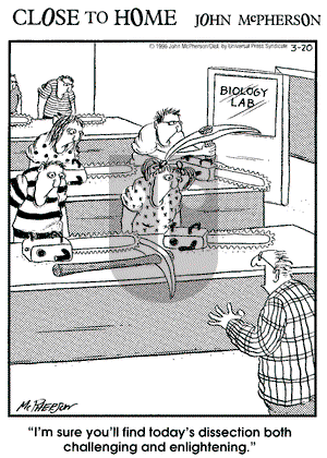 Close to Home on Wednesday March 20, 1996 Comic Strip