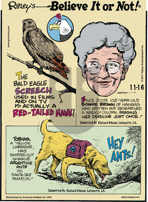 Ripley's Believe It or Not on Thursday November 16, 2017 Comic Strip