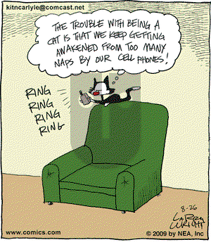 Kit 'N' Carlyle on Wednesday August 26, 2009 Comic Strip