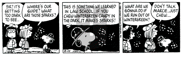 Peanuts on Thursday August 25, 1988 Comic Strip