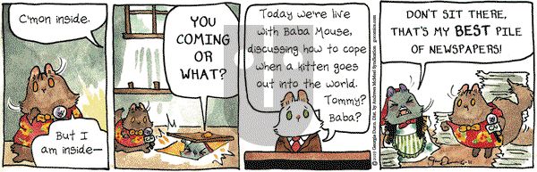 Breaking Cat News on Tuesday June 11, 2019 Comic Strip