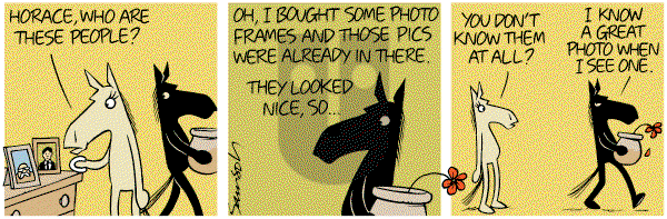 Dark Side of the Horse on Sunday November 6, 2011 Comic Strip